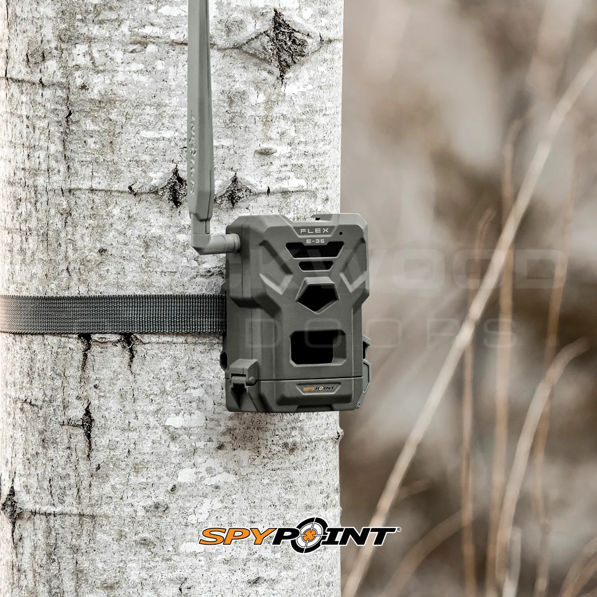 Spypoint Flex E-36 Trail Camera
