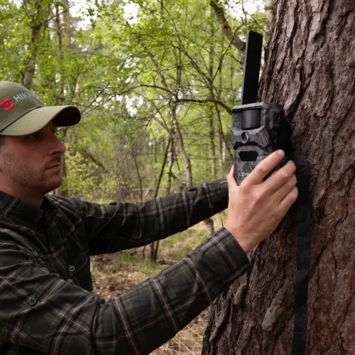 HikMicro T16 Trail Camera mounted to tree.